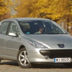 Srebrny Peugeot 307 na tle jesiennych drzew. Kierowca zastanawia się, jakie żarówki wybrać do swojego auta.