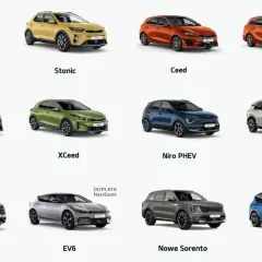 Kolekcja aut klasy D: od miejskich Picanto i Stonic, przez rodzinne Ceed, po elektryczne EV6 i EV9.