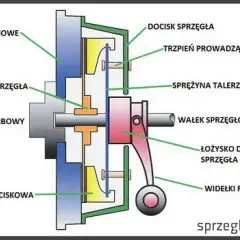 Sprzęgło: Do czego służy? Jak działa i jak o nie dbać?