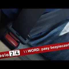 Pasy bezpieczeństwa: ratują życie, chronią przed karą i utratą odszkodowania