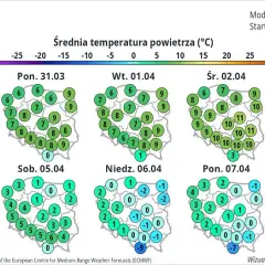 Kiedy zmienić opony na letnie? Złota zasada 7°C i 5 błędów, których unikaj