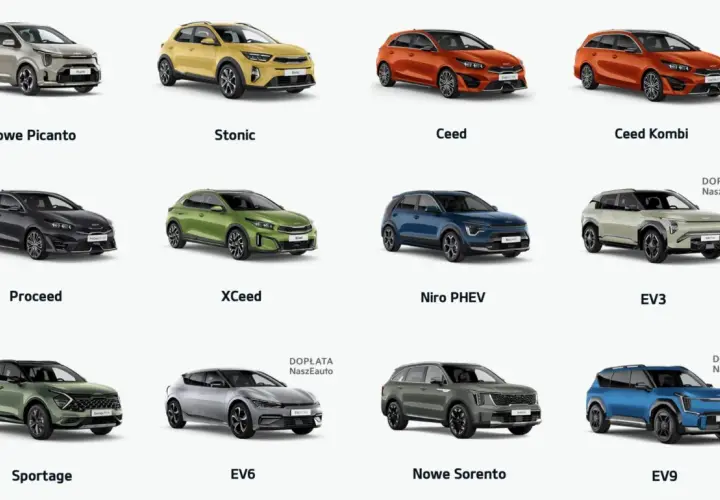 Kolekcja aut klasy D: od miejskich Picanto i Stonic, przez rodzinne Ceed, po elektryczne EV6 i EV9.