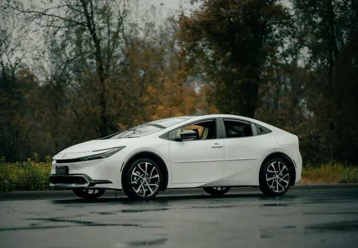 Biały Toyota Prius C na mokrej drodze, otoczony jesiennymi drzewami.