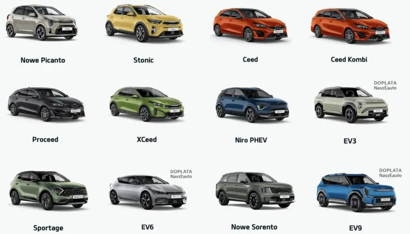 Kolekcja aut klasy D: od miejskich Picanto i Stonic, przez rodzinne Ceed, po elektryczne EV6 i EV9.