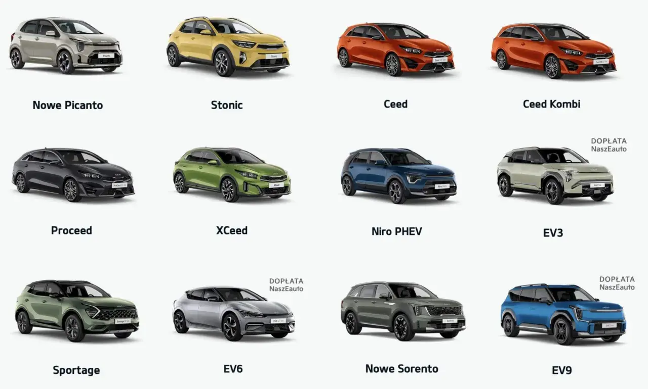 Kolekcja aut klasy D: od miejskich Picanto i Stonic, przez rodzinne Ceed, po elektryczne EV6 i EV9.