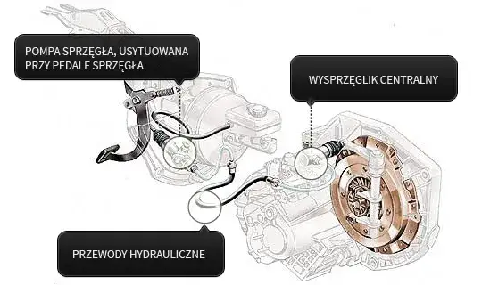 pompa sprzęgła wysprzęglik różnice budowa